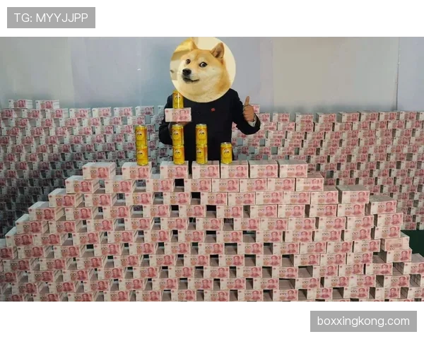 刷到高磊的家居照，沙发上那一摞名牌把我看懵了