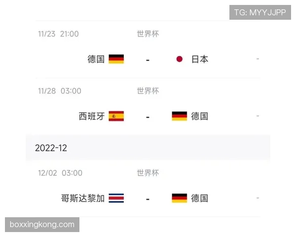 德国队世界杯战术打法解析